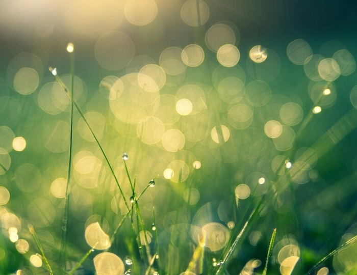 Повышение иммунитета - Санаторий «Славутич» Алушта