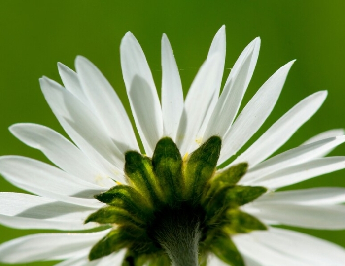 Лечение нервной системы - Санаторий «Славутич» Алушта