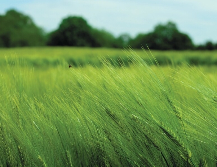 Лечение органов дыхания - Санаторий «Славутич» Алушта