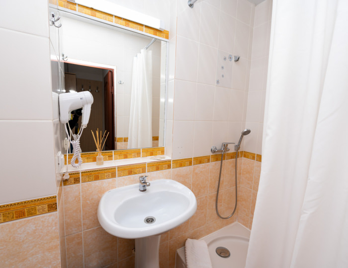 Комфорт 1-местный 1-комнатный корпус 1 - Санаторий «Славутич» Алушта